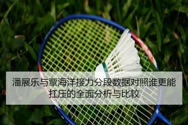 潘展乐与覃海洋接力分段数据对照谁更能扛压的全面分析与比较